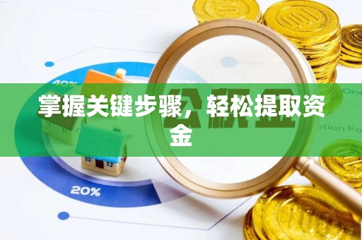 藁城掌握关键步骤，轻松提取资金