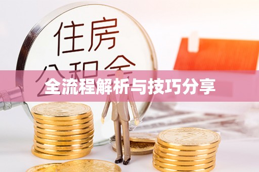 藁城全流程解析与技巧分享